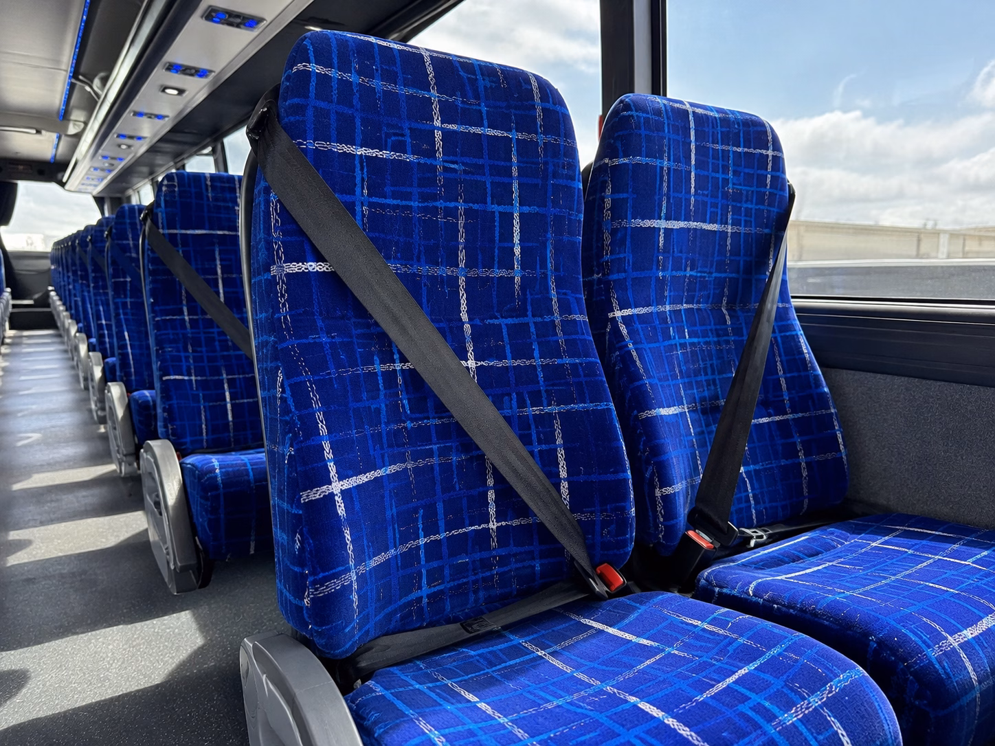 charter bus rentals to the aquarium of the pacific in long beach